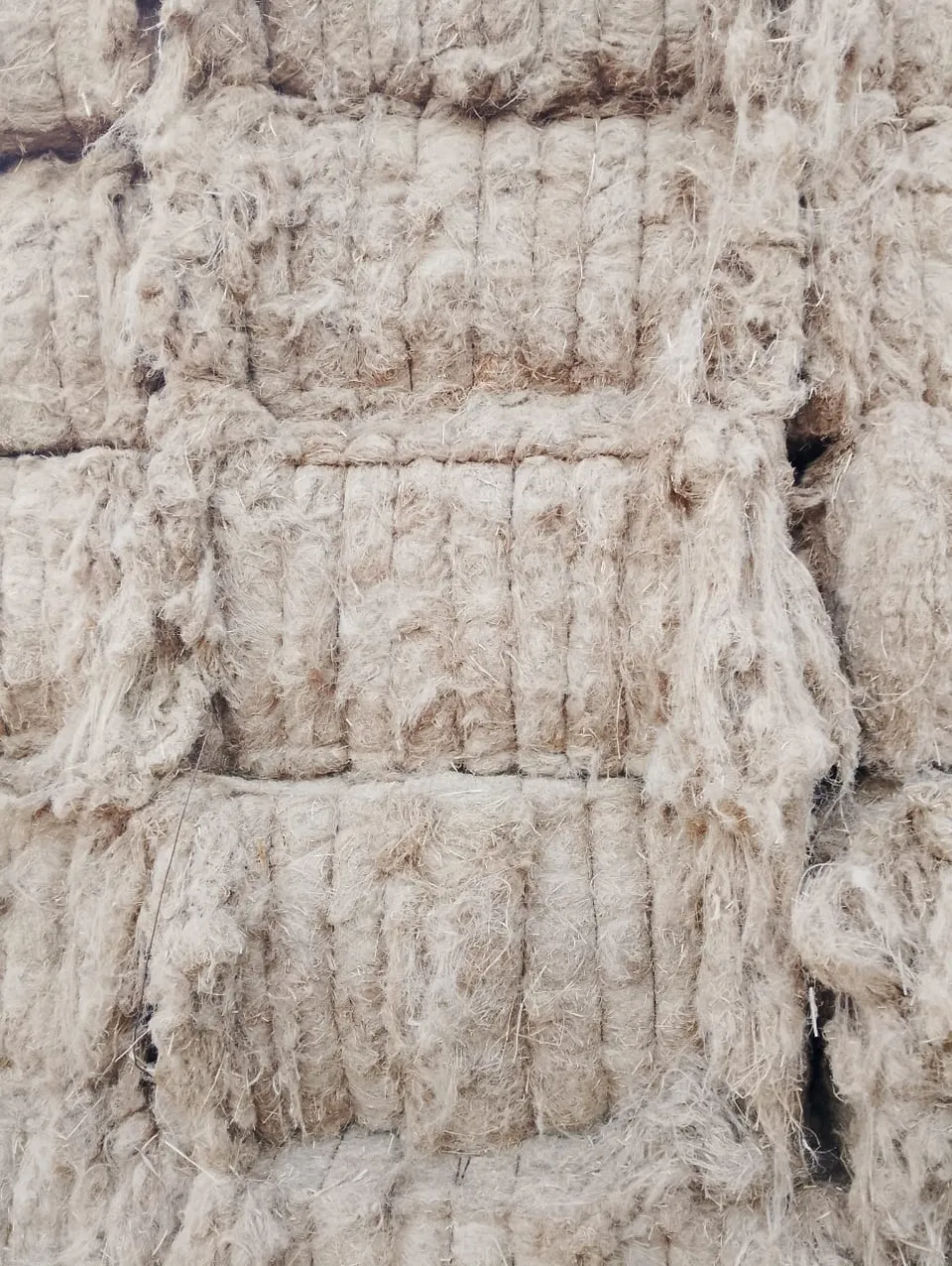Flax fibers from the Flax United product collection