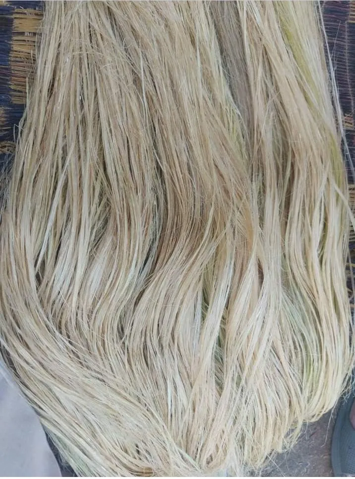 Flax fibers from the Flax United product collection